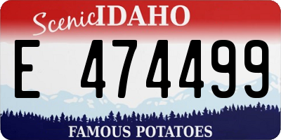 ID license plate E474499