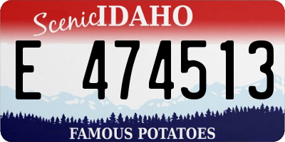 ID license plate E474513