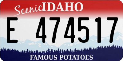 ID license plate E474517