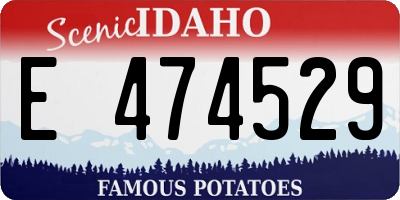 ID license plate E474529