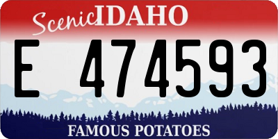 ID license plate E474593
