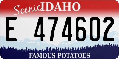 ID license plate E474602