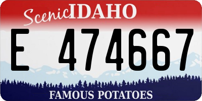 ID license plate E474667