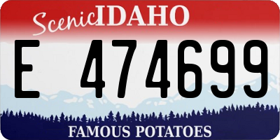 ID license plate E474699