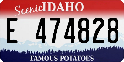 ID license plate E474828