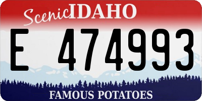 ID license plate E474993
