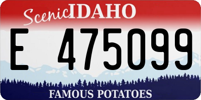 ID license plate E475099