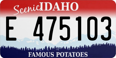 ID license plate E475103
