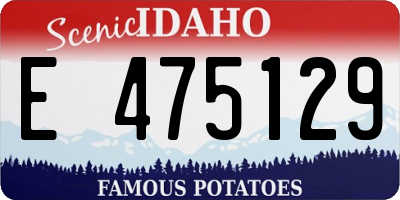 ID license plate E475129