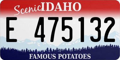 ID license plate E475132