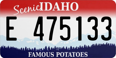 ID license plate E475133