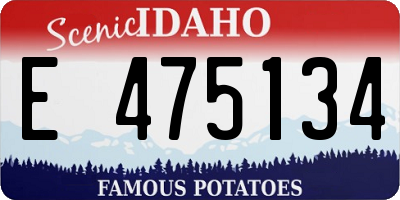 ID license plate E475134