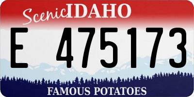 ID license plate E475173
