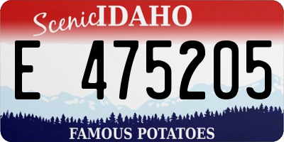 ID license plate E475205