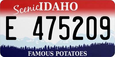 ID license plate E475209