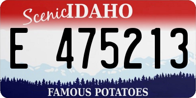 ID license plate E475213