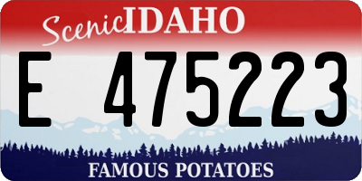ID license plate E475223
