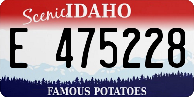 ID license plate E475228