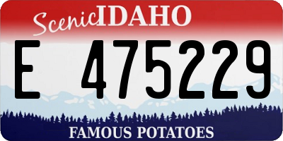 ID license plate E475229