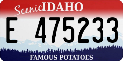 ID license plate E475233