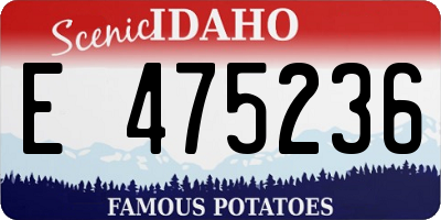 ID license plate E475236