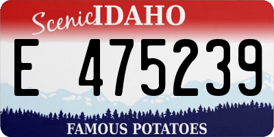 ID license plate E475239