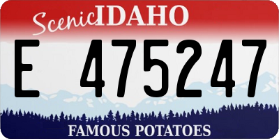 ID license plate E475247