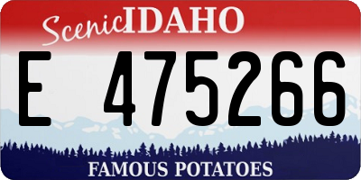 ID license plate E475266