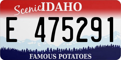ID license plate E475291