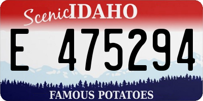 ID license plate E475294