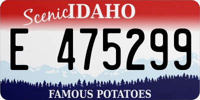 ID license plate E475299