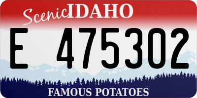 ID license plate E475302