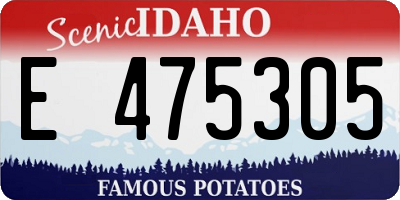ID license plate E475305
