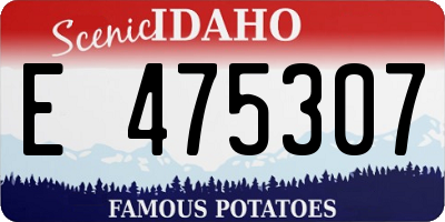 ID license plate E475307