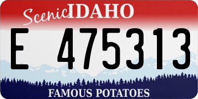 ID license plate E475313