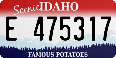 ID license plate E475317