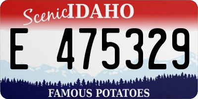 ID license plate E475329