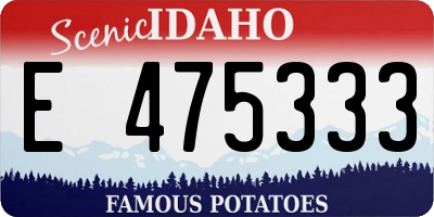 ID license plate E475333