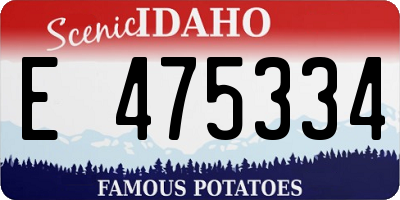 ID license plate E475334