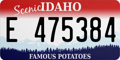 ID license plate E475384