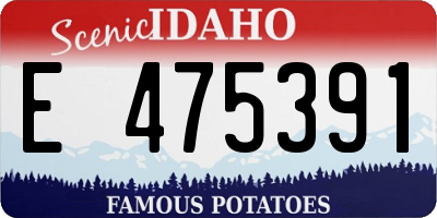 ID license plate E475391