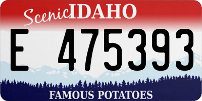 ID license plate E475393