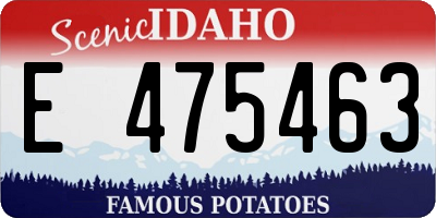 ID license plate E475463