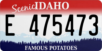 ID license plate E475473