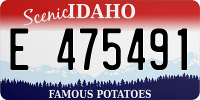 ID license plate E475491
