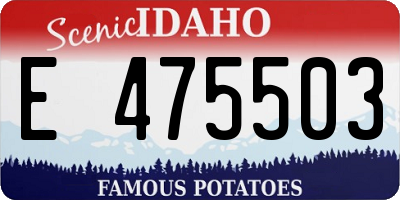 ID license plate E475503