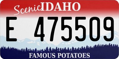 ID license plate E475509