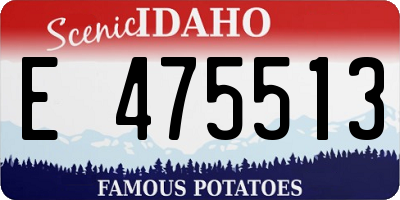 ID license plate E475513
