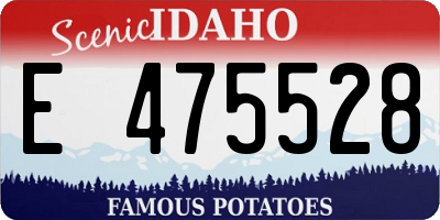ID license plate E475528