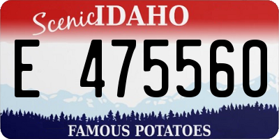 ID license plate E475560